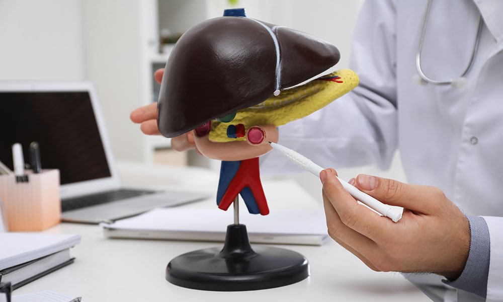 Meloxicam may stay longer in the body and impact liver function.